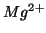 $Mg^{2+}$
