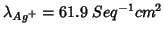 $\lambda_{Ag^+}=61.9\;Seq^{-1}cm^2$